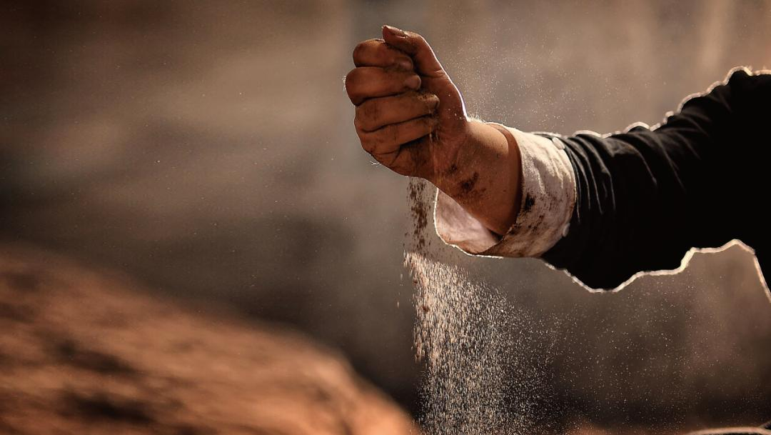 1765355551837075567.png 图片19.png