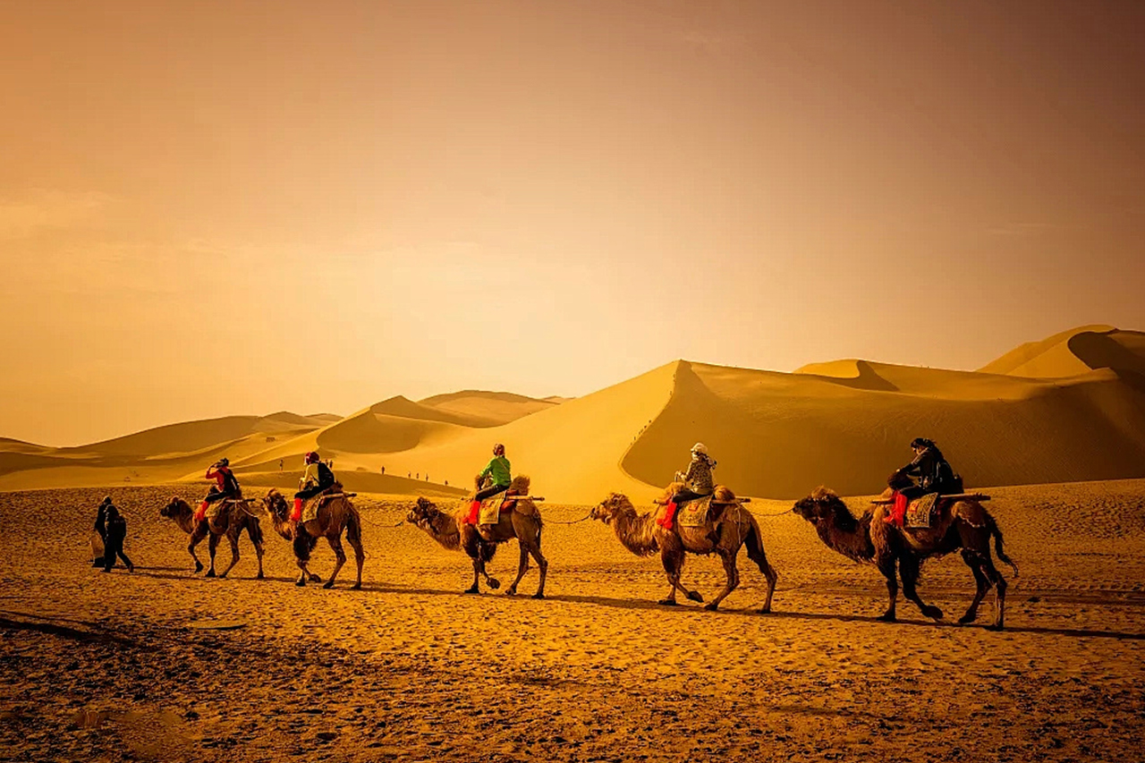 1765357949566083414.jpg 2.jpg