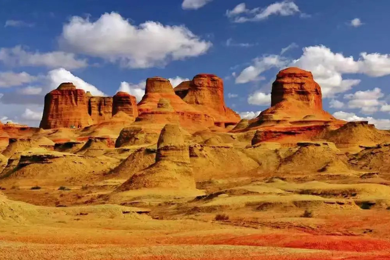 1765358025250014349.jpg 15.jpg