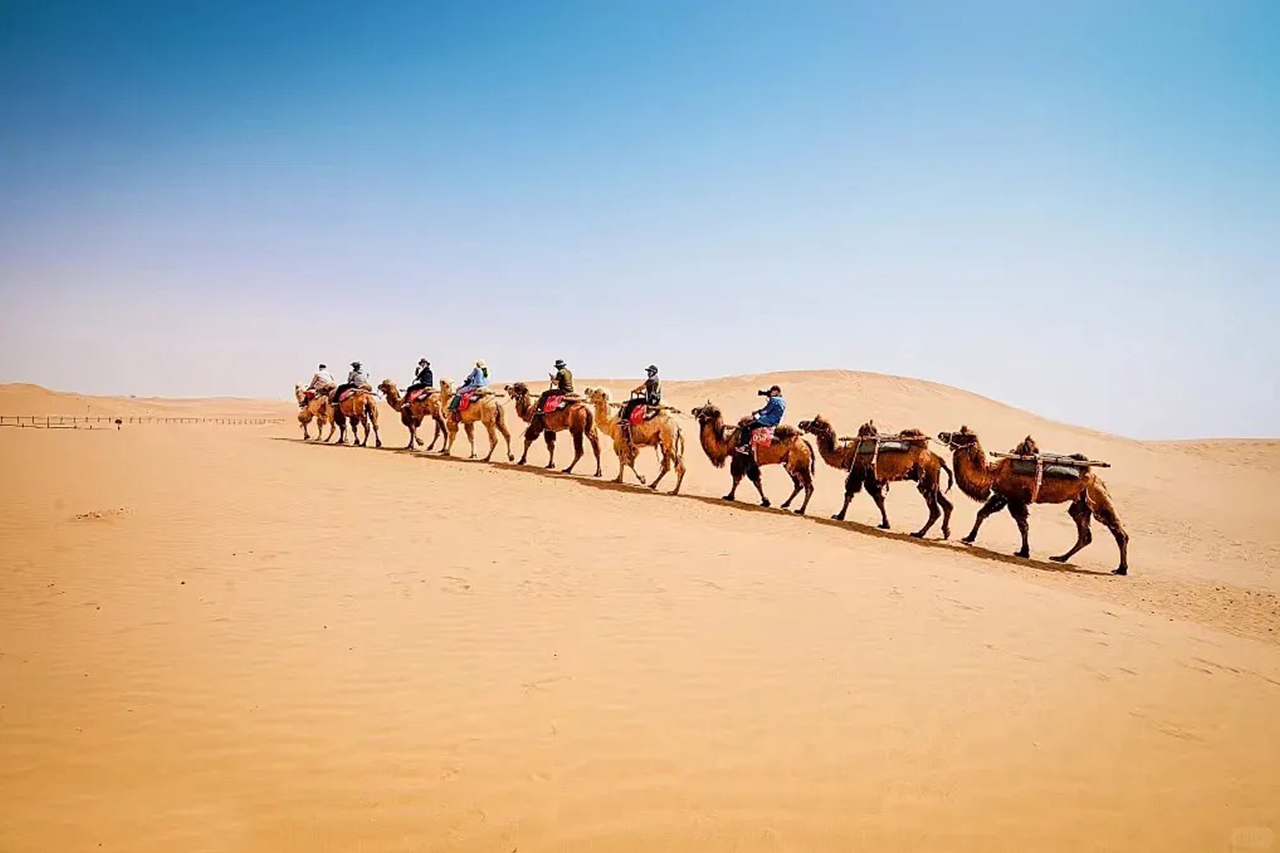 1765358044491086917.jpg 6.jpg