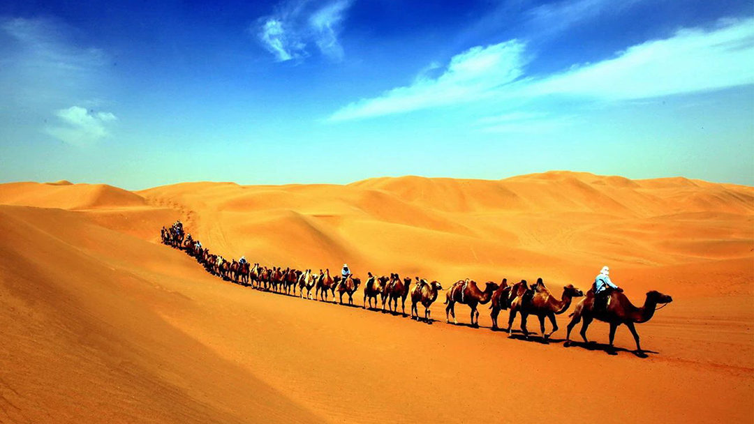 1765423833458083369.jpg 1 拷贝.jpg