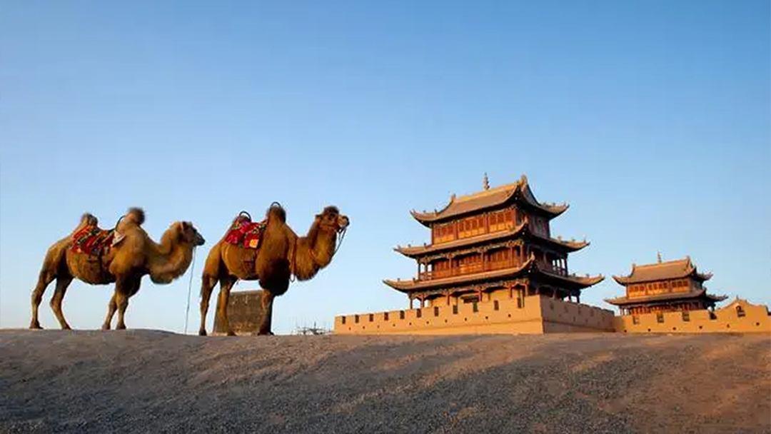 1765423923705092558.jpg 13 拷贝.jpg