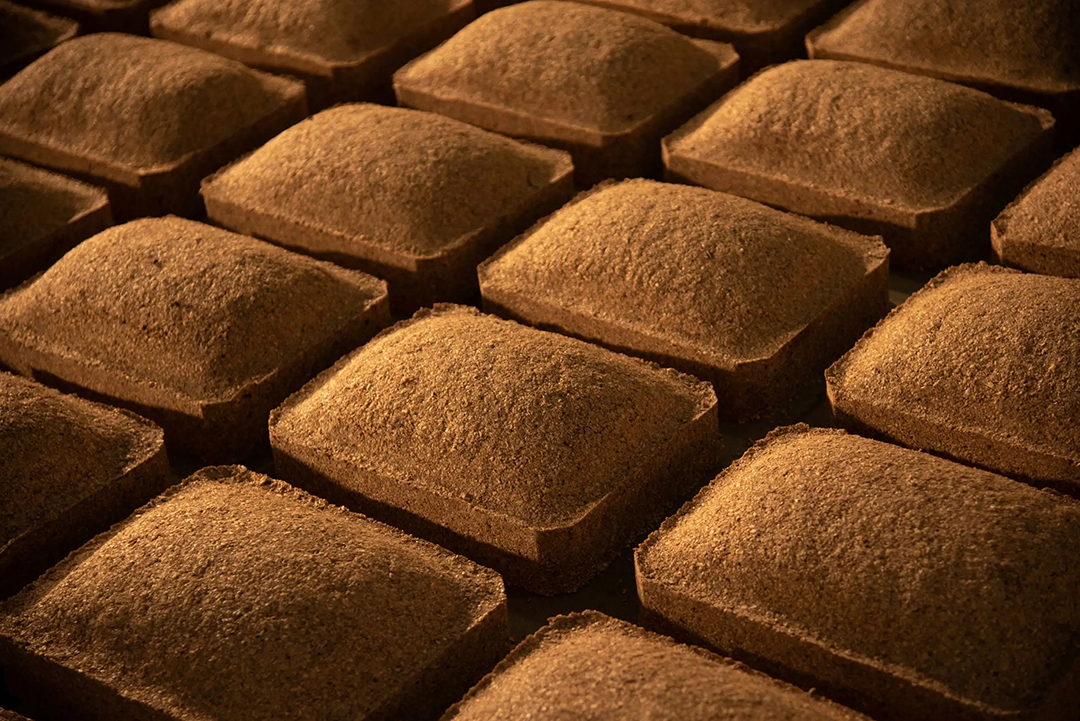 1766482004291061286.jpg 图片21 拷贝.jpg