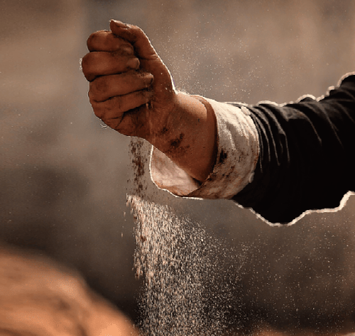 揭秘酱香酒的魅力：多种香型如何共存？